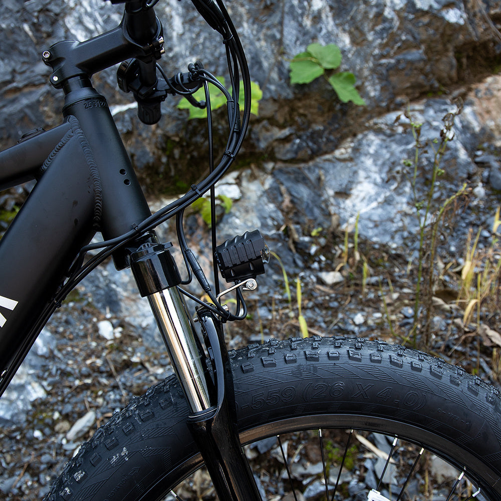 1000W Fat Tire Electric Bike for Adults – 26" E-Mountain Bike
